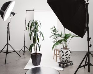 Photoshoot with furniture and plants